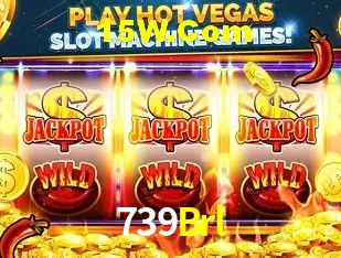 API Integration 739Brl